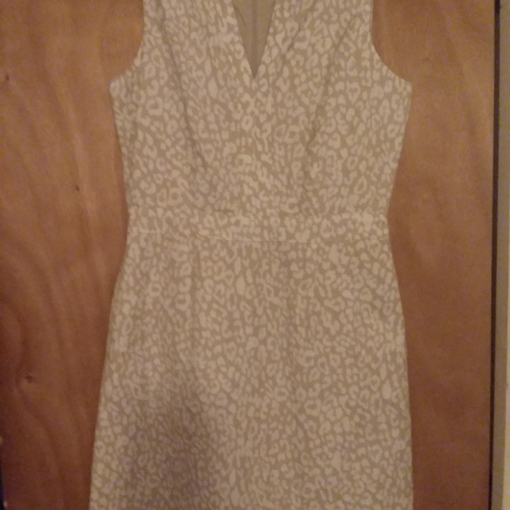 Banana Republic Dress